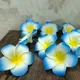 Blue__Novelty Enterprises