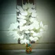 WHITE__Novelty Enterprises