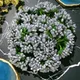 SILVER__Novelty Enterprises