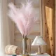 Baby Pink__Novelty Enterprises
