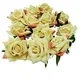Cream__Novelty Enterprises