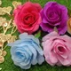 Roses - 12 Pcs__Novelty Enterprises