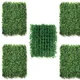 Pack Of 5__Novelty Enterprises