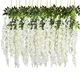 White__Novelty Enterprises