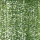 green__Novelty Enterprises