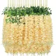 Yellow, Champagne__Novelty Enterprises