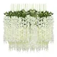 White__Novelty Enterprises