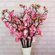 Pink__Novelty Enterprises