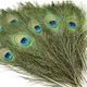 Pack Of 100 Pcs__Novelty Enterprises