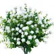 White With Flower__Novelty Enterprises