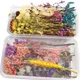 4 Box - Multicolor__Novelty Enterprises