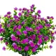 Purple With Flower__Novelty Enterprises