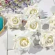 White__Novelty Enterprises