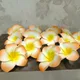 Orange__Novelty Enterprises