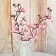 Light Pink__Novelty Enterprises