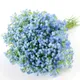 Blue__Novelty Enterprises