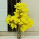 Lemon Yellow__Novelty Enterprises