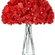 Spicy Red__Novelty Enterprises