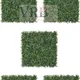 Pack Of 5__Novelty Enterprises