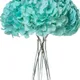 Sea Green__Novelty Enterprises