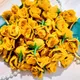 Yellow__Novelty Enterprises