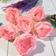 Light Pink (Pack of 6pcs)__Novelty Enterprises