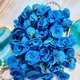 Sky Blue__Novelty Enterprises