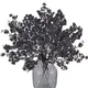 Black__Novelty Enterprises