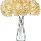 Peach__Novelty Enterprises