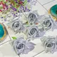 Silver__Novelty Enterprises