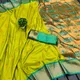 Parrot__Amoha Sarees