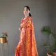 Orange__Amoha Sarees