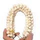 White__Mokshi collections