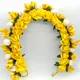 Yellow__Mokshi collections
