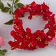 Red__Mokshi collections