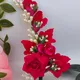 Pink__Mokshi collections