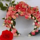 Peach__Mokshi collections