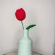 Mint Green Vase, Red Tulip__Ishq-e-Ghar