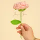 Light Pink__Ishq-e-Ghar
