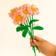 Pink__Ishq-e-Ghar