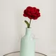 Vase Is Pastel Green , Red Rose__Ishq-e-Ghar