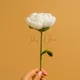 White__Ishq-e-Ghar