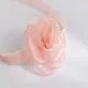 Pink__Aquastreet