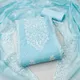 Blue__COCFI