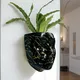 BlackStone__URBAN SENSE 