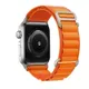 orange__OllyPolly