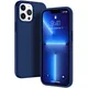 Blue__TrueUpgrade
