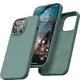 Green__TrueUpgrade
