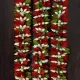Red & Green__Gurram