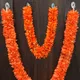 Multicolor__Gurram